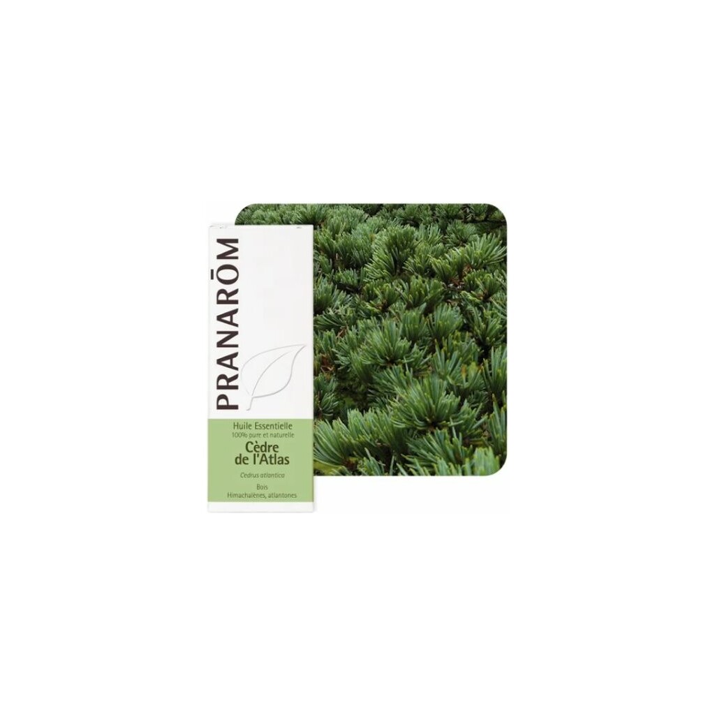 ETERIČNO ULJE CEDAR 10ML PRANAROM