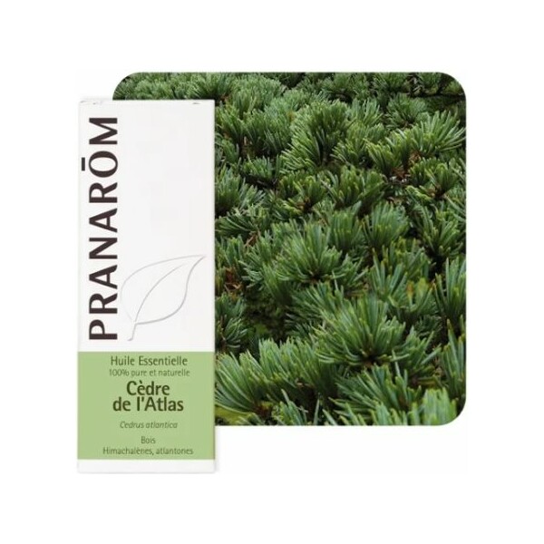 ETERIČNO ULJE CEDAR 10ML PRANAROM