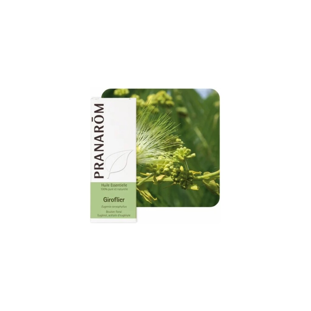ETERIČNO ULJE KLINČIĆEVAC 10ML PRANAROM
