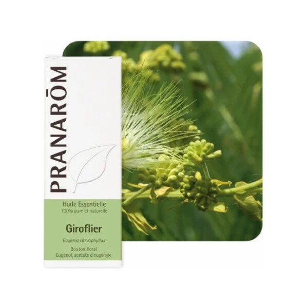 ETERIČNO ULJE KLINČIĆEVAC 10ML PRANAROM
