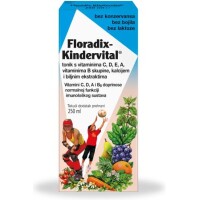 FLORADIX KINDERVITAL TONIK 250ML