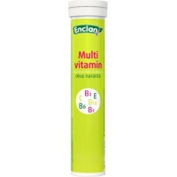 ENCIAN MULTIVITAMIN ŠUMEĆE TABLETE A20