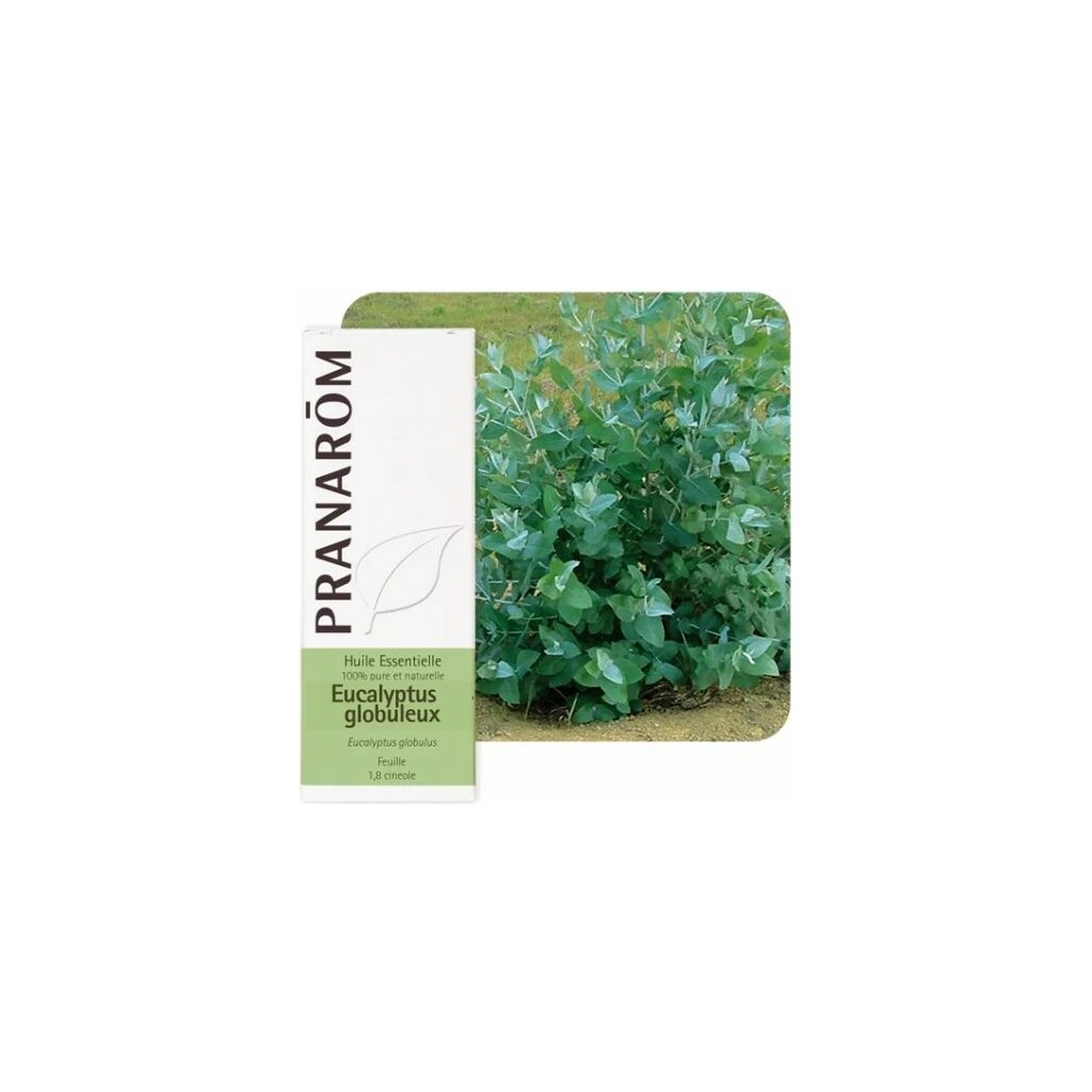 ETERIČNO ULJE EUKALIPTUS GLOBULUS 10ML PRANAROM