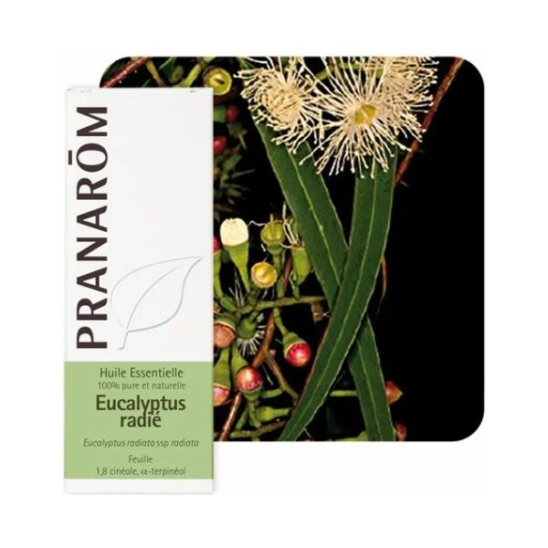 ETERIČNO ULJE EUKALIPTUS RADIATA 10ML PRANAROM