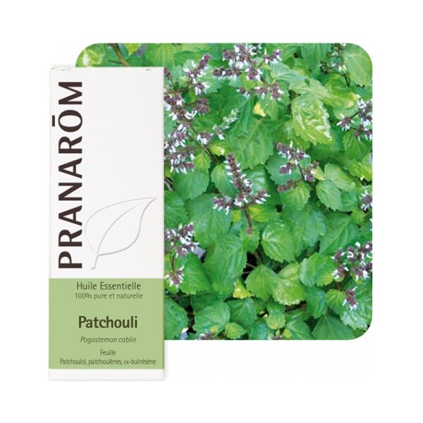 ETERIČNO ULJE PAČULI 5ML PRANAROM