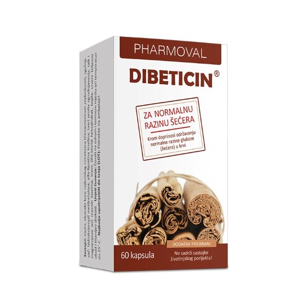 DIBETICIN KAPSULE PHARMOVAL A60
