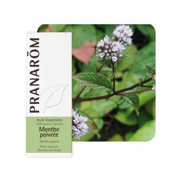 ETERIČNO ULJE PAPRENE METVICE 10ML PRANAROM