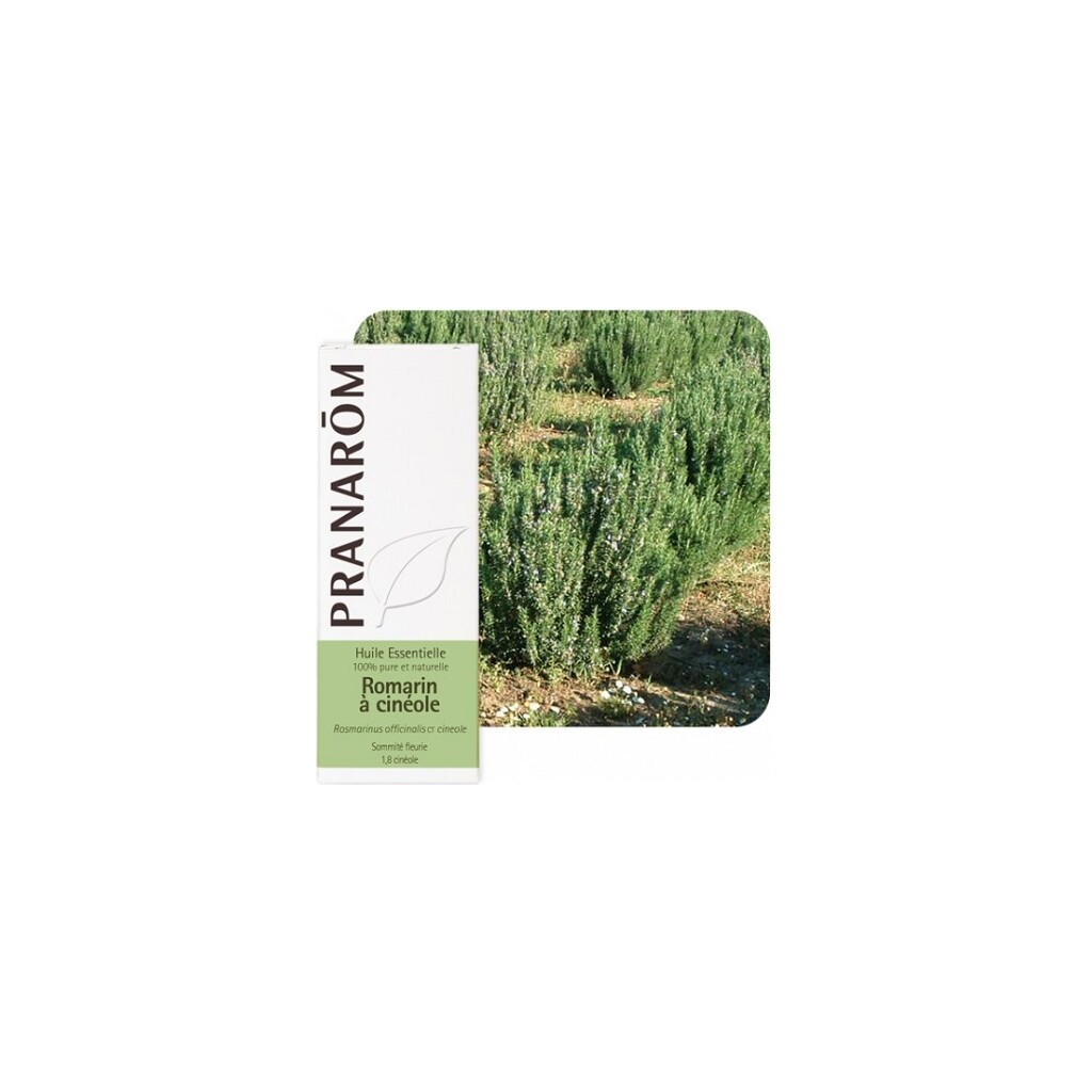 ETERIČNO ULJE RUŽMARIN CINEOL 10ML PRANAROM