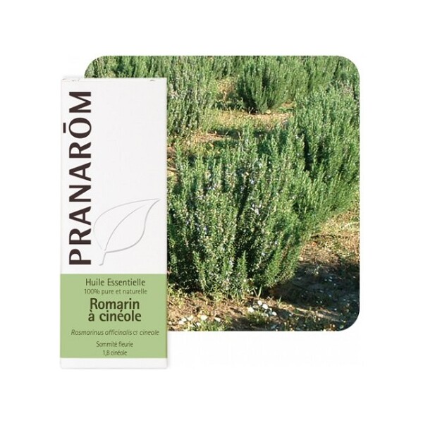 ETERIČNO ULJE RUŽMARIN CINEOL 10ML PRANAROM