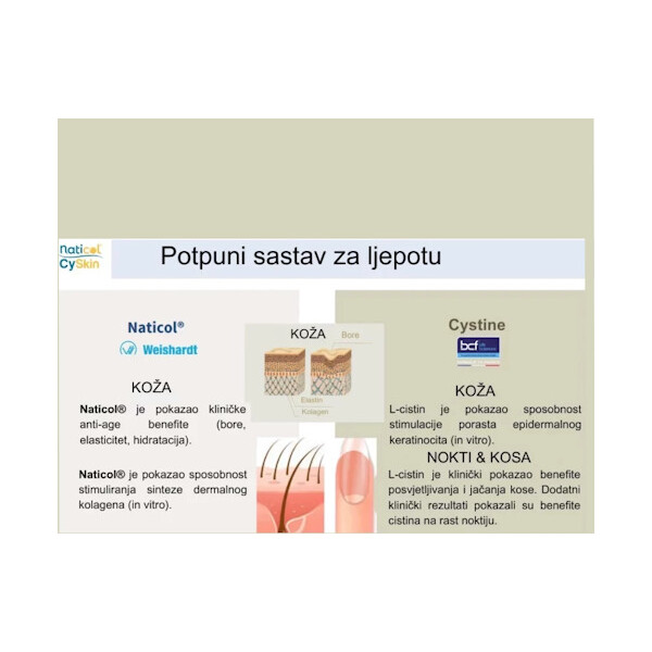 BEAUTY HARMONY COLLAGEN 500ML HUG YOUR LIFE