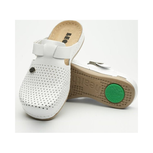 LEON KLOMPE MODEL 950