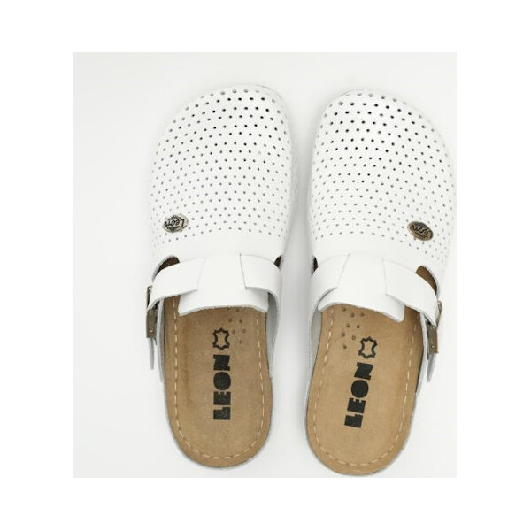 LEON KLOMPE MODEL 950