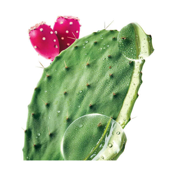 KLORANE ŠAMPON INDIJSKA SMOKVA 200ML